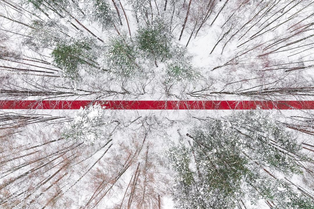 В Парке Малевича открылся ленд-арт проект «Белый лес»