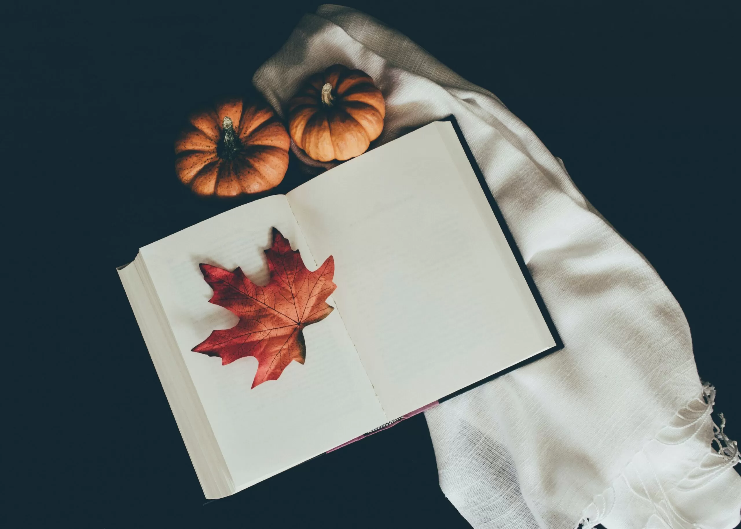 Афиша 19 – 25 сентября: проводим осень с книгами